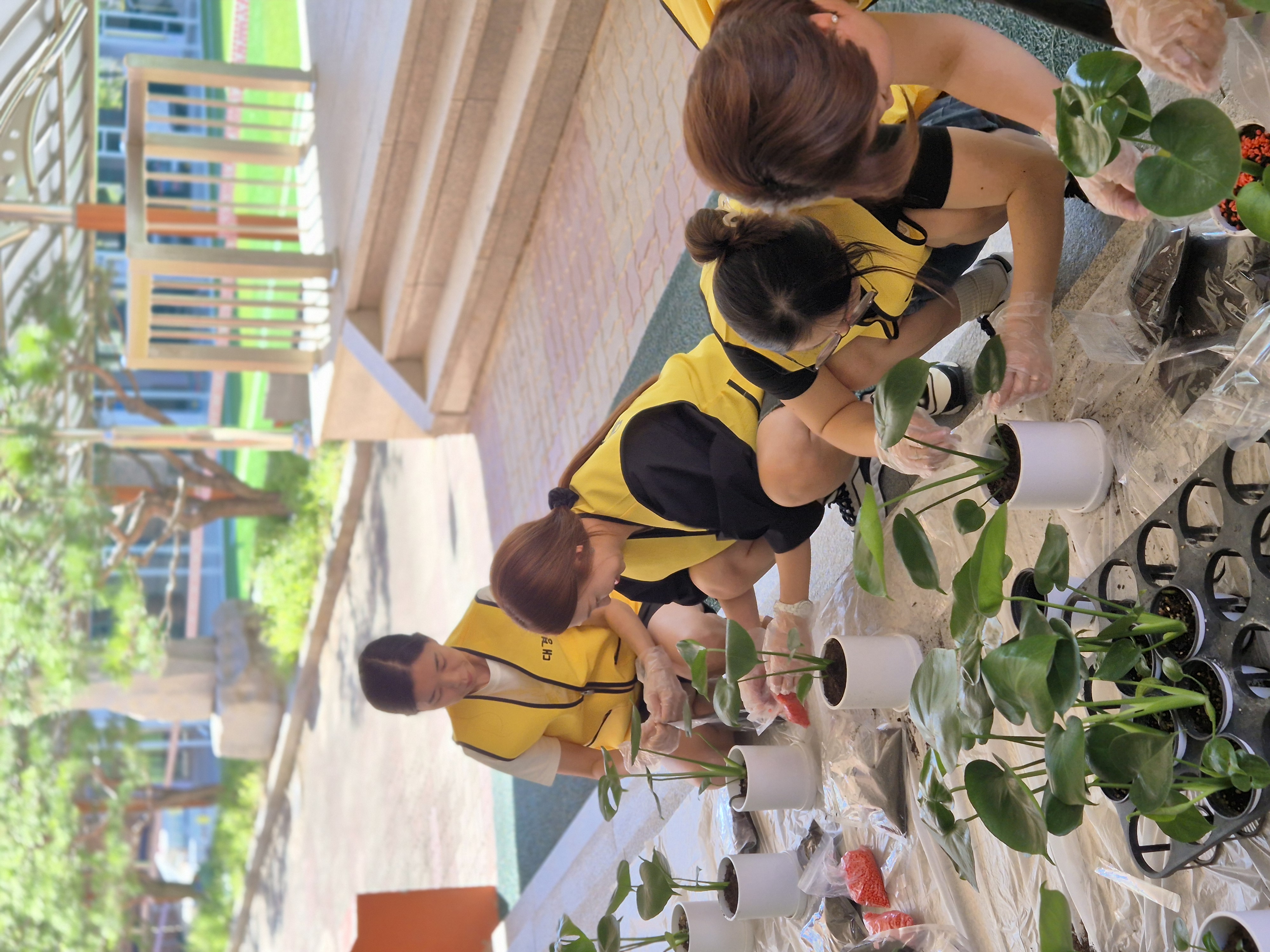 2025년 학부모회 생태학교 공기정화화분 만들기(9월 11일)