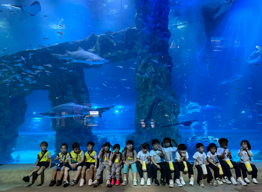 0909 아쿠아리움 소규모유치원 공동 현장체험학습