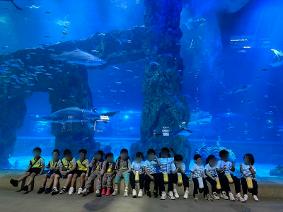 0909 롯데 아쿠아리움