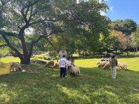 0925 평강랜드 현장체험학습